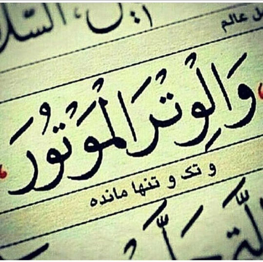 miladauditore (EziO) tweet media