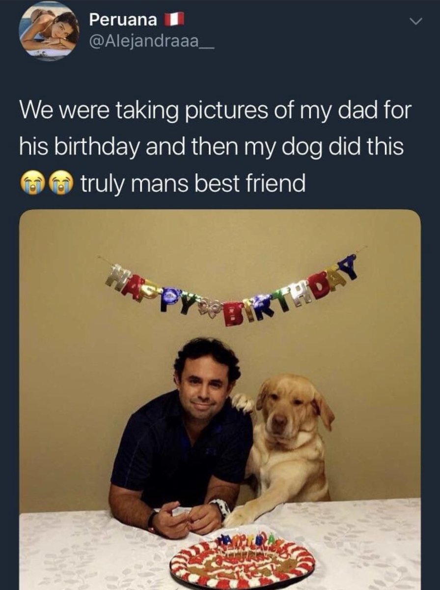 RespectfulMemes tweet picture