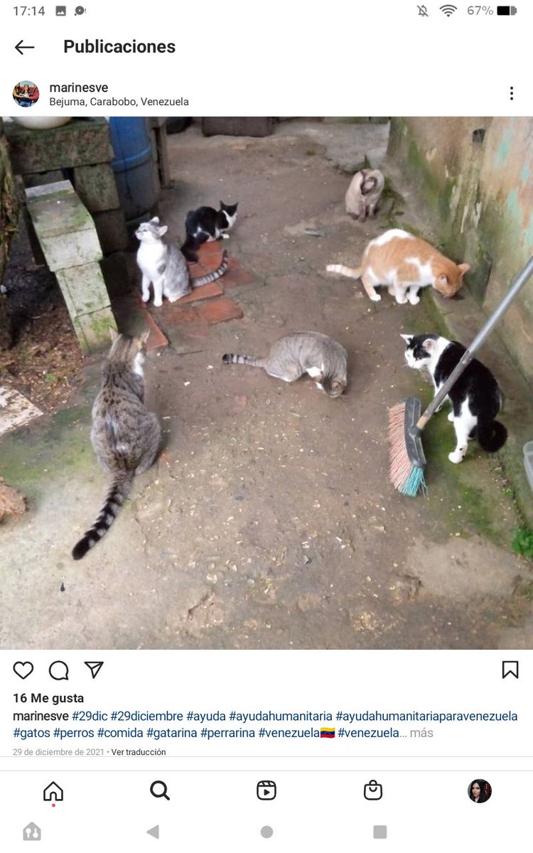 🐿비키☻💜솝월드🐱⁷ tweet media