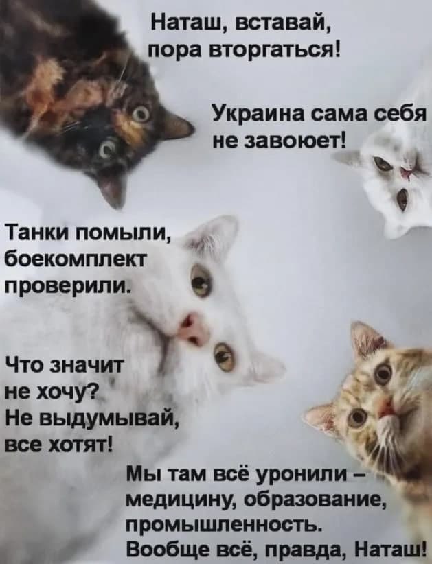 Наташе пора вставать,
а Вам - спокойной ночи🌛