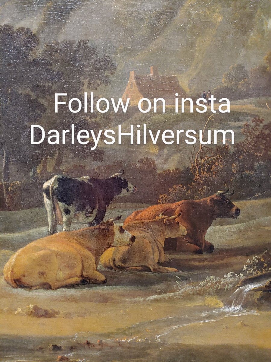Darley's appartements tweet media