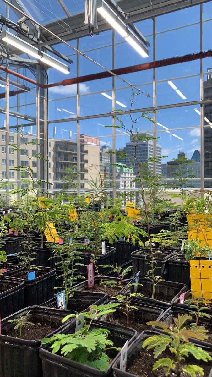 Shoutout to these labels with scannable barcodes made in R with @ColauttiLab ’s BaRcodeR package! Saves sooo much time organizing and analyzing samples 😍 and bonus that they’re waterproof