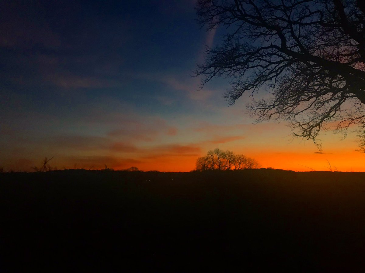 kristieHphoto's tweet photo. This evenings sunset 🌅 #doleham @bbcsoutheast @SussexLifeMag https://t.co/hz9dho25cB