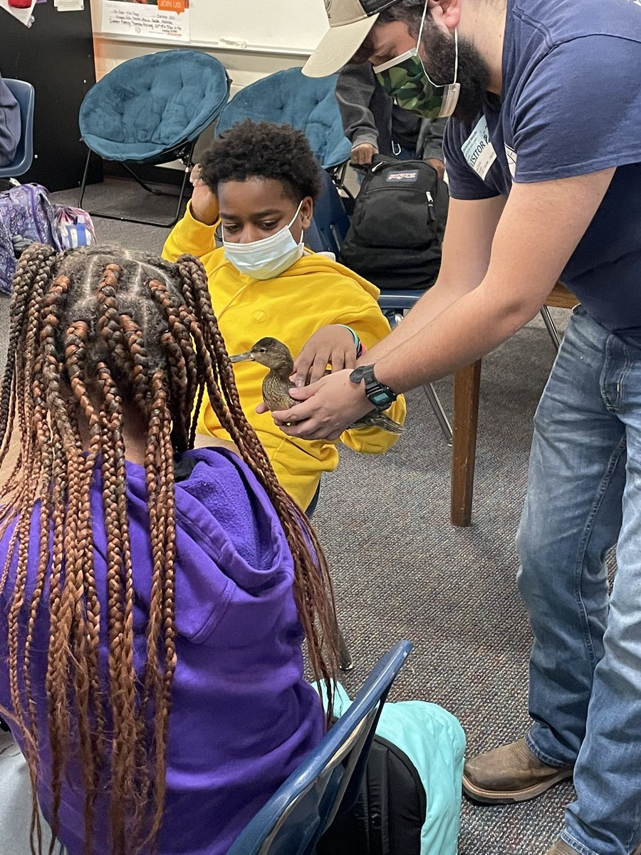 K_Bake_'s tweet photo. Huge thank you to Harrison and Hanna from @SC_Waterfowl’s Camp Leopold for coming to speak to my @AVID4College students about Waterfowl and careers working with wildlife. @RichlandTwoAVID @BMSatRSD2 #BMSAVID #BMSMakeItHappen https://t.co/fkjBO3Gg7N