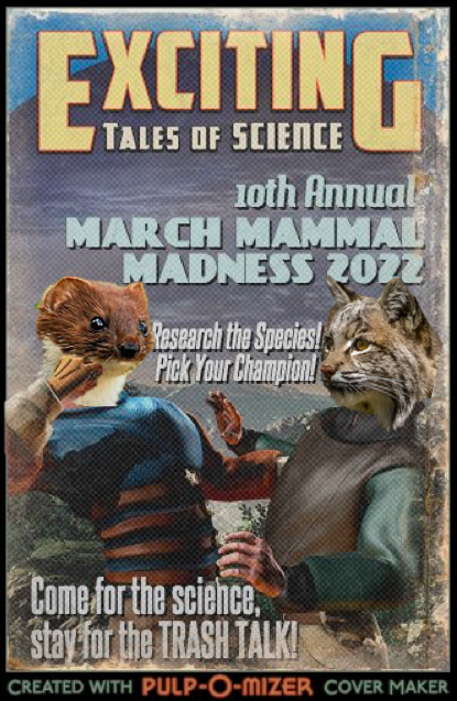 Mammals_Suck's tweet photo. The 10th Annual MARCH MAMMAL MADNESS TOURNAMENT is right around the corner! #2022MMM
Bookmark the Libguide: https://t.co/iEuG6AKsGY https://t.co/JiwPTf2tsu