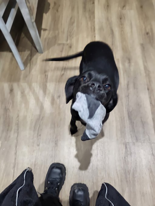 Watch Titch ✨️'s leaked NSFW photo on TwXstars