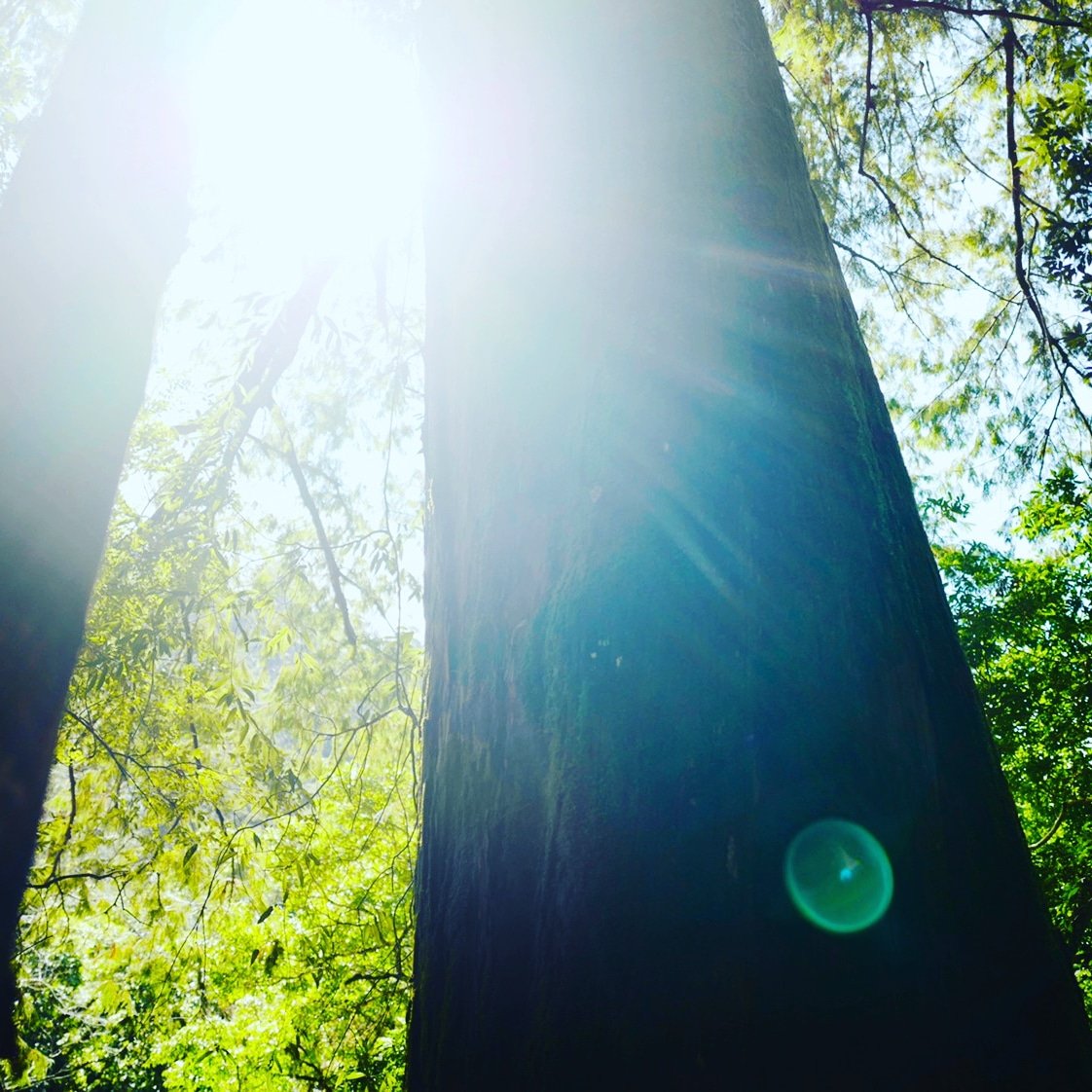 iSpring3's tweet image. 