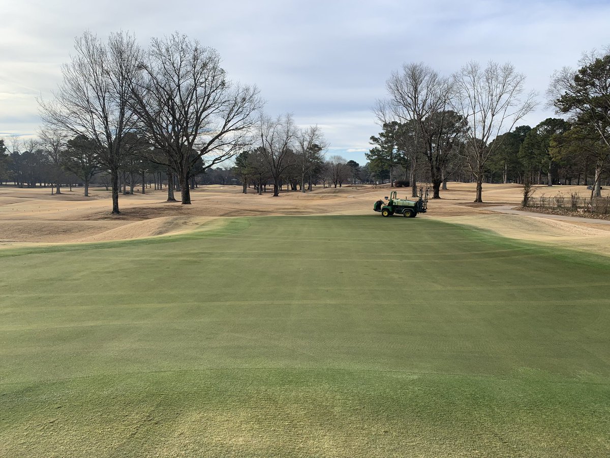 GURUScapes tweet media