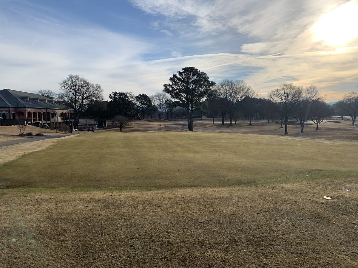 GURUScapes tweet media