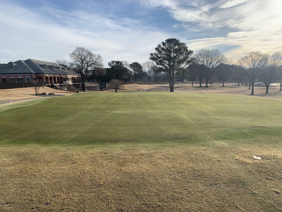 GURUScapes tweet media