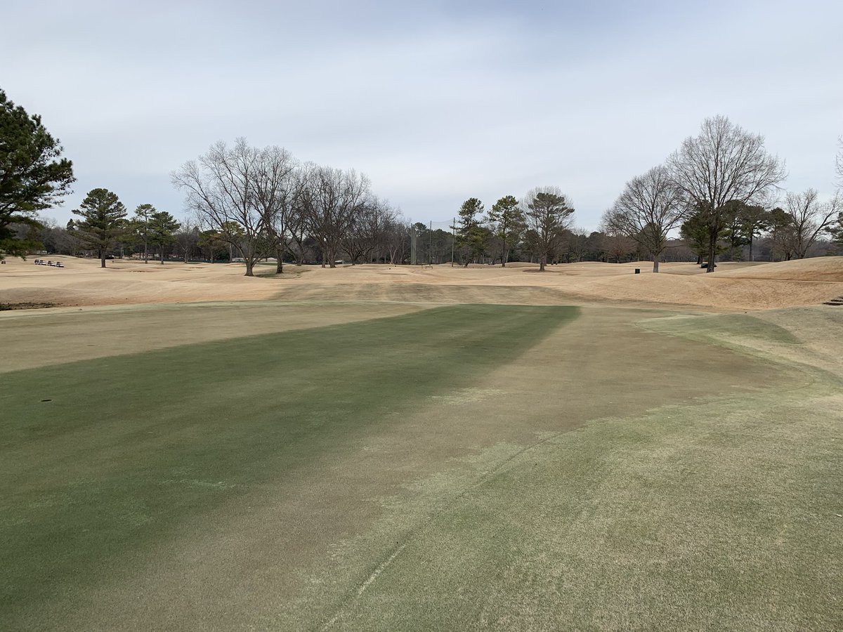 GURUScapes tweet media