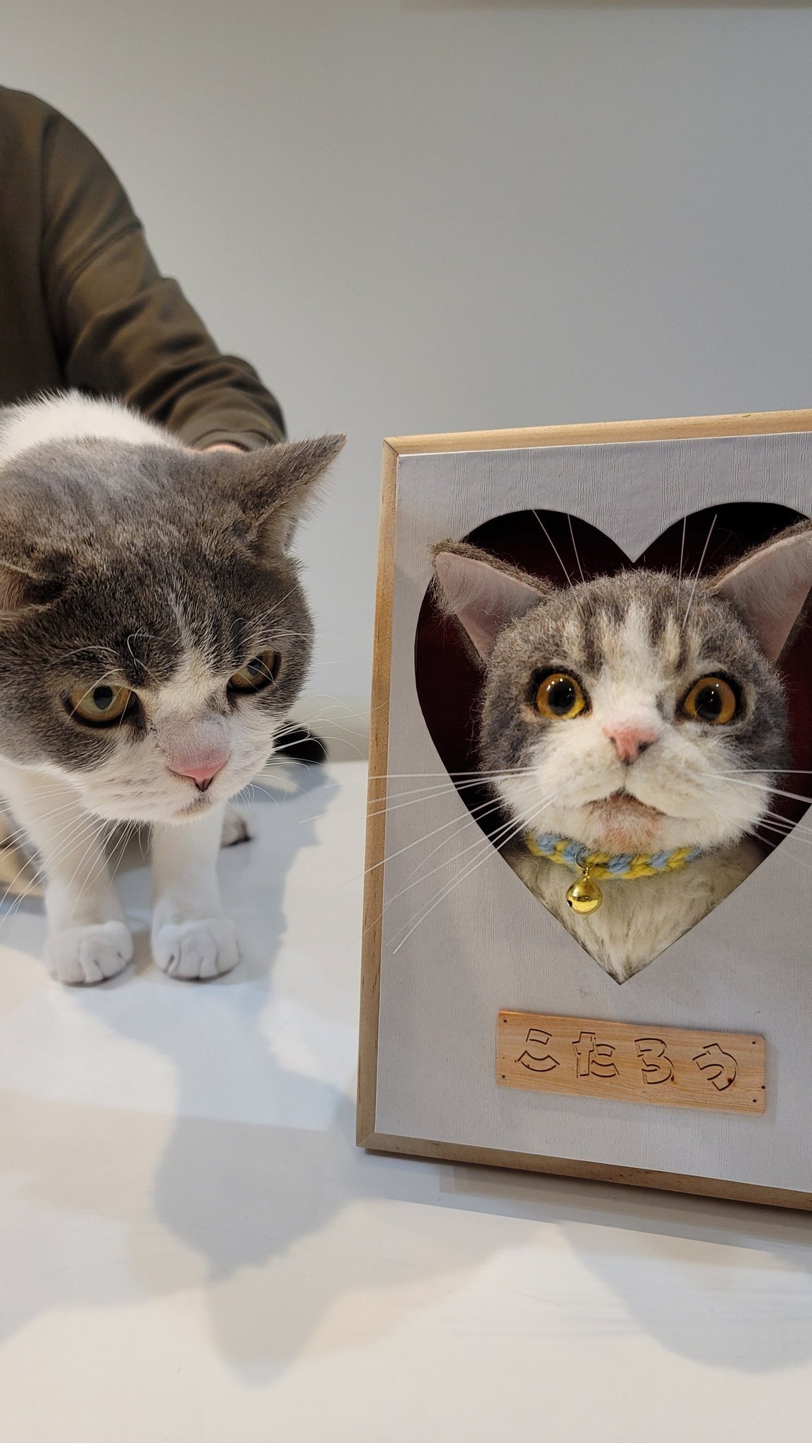 うさぎ 羊毛フェルト額縁入り ゆり様 うさぎ羊毛フェルト額縁入り