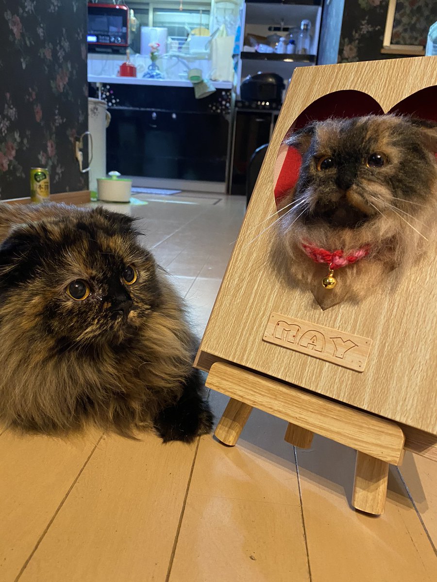 我が家の猫様」と題して羊毛フェルトで画像の様なハートの穴から顔を