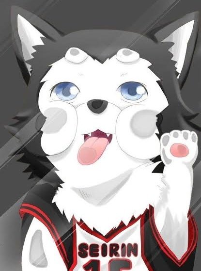 Zero1237 tweet media