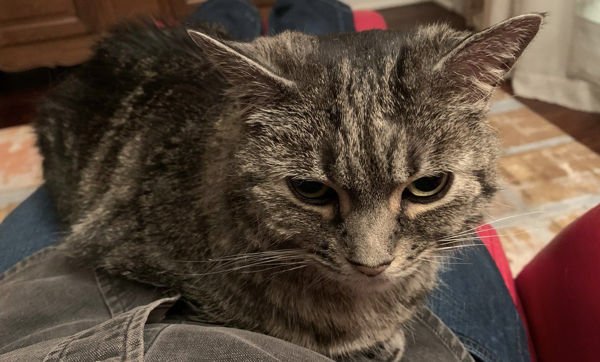 Guy Gavriel Kay tweet media