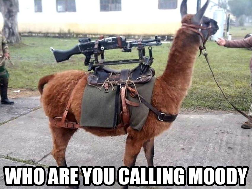 AlrightGeezNFT's tweet photo. @MoodyLlamasClub

Is starting a meme contest in  
https://t.co/kMgv1w31Xd

Join NOW on the server and show us why your meme should get a #moodyllamaNFT for FREE! 

#memecontest ends on 28th February!

 X3 MoodyLLamas NFTs 

#nft #nftcommunity #nftcontest #nftgiveaway https://t.co/aFlS3zOrNf