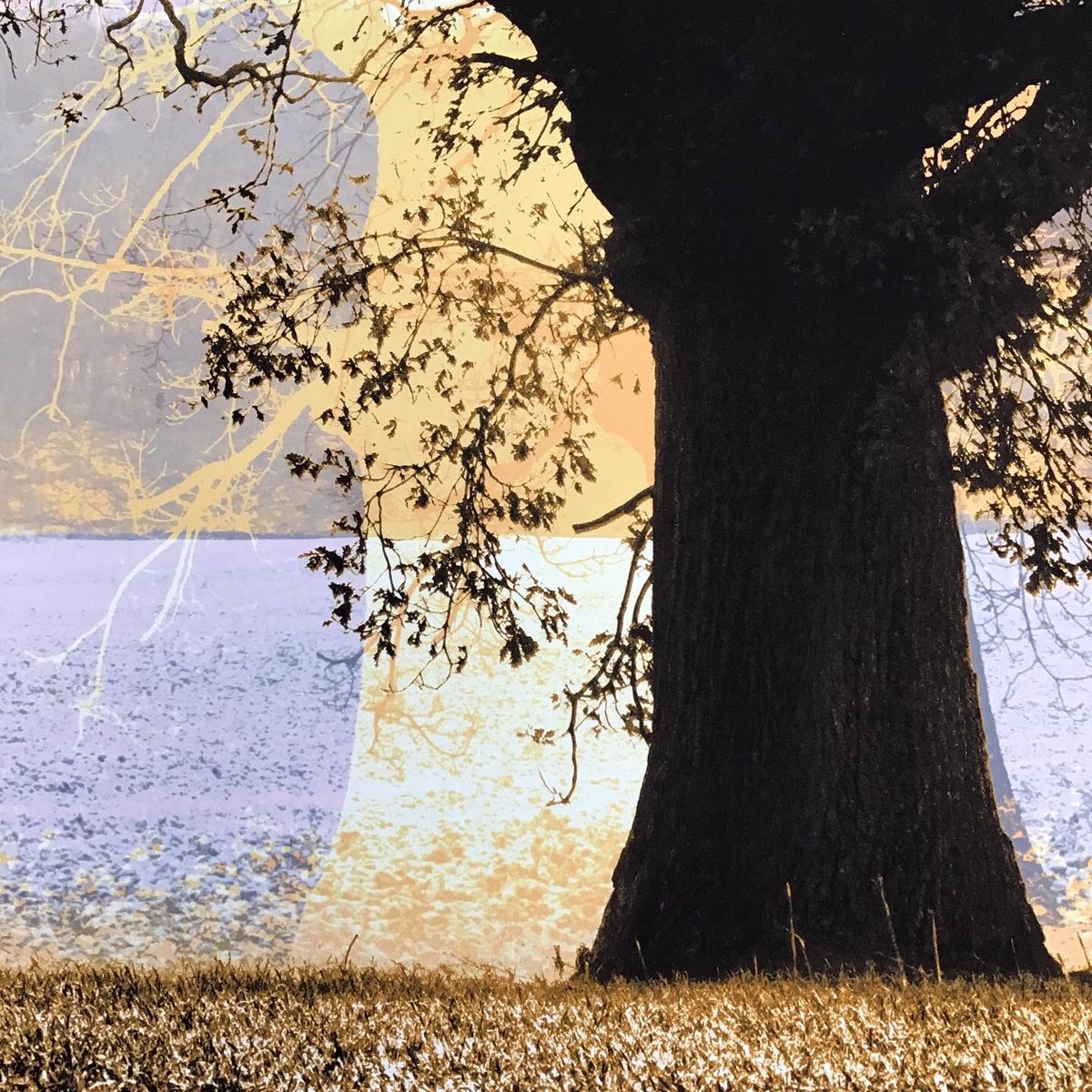 MarkWellandArt's tweet photo. BIG PRINT BIG SUN - another of the Rising series enters the real world to be worked on. #risingiv 

#climatechange #treemagic #treelove #treeworld #nature_addict #natureloversgallery #contemporaryart @fpsartistgroup #Seijaku (静寂): #tranquility, #silence https://t.co/VBVcut8Mgc