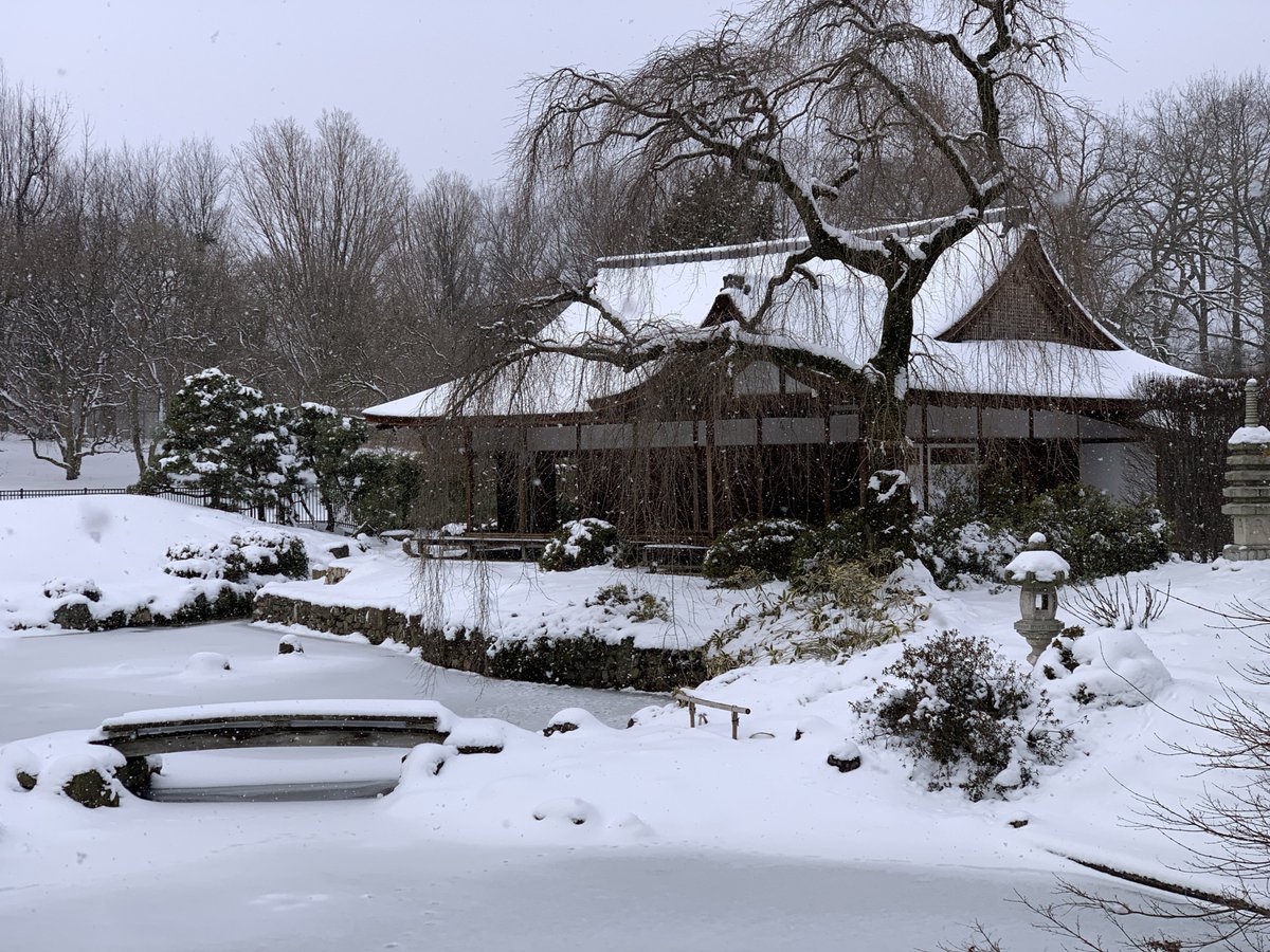 Happy Monday from all of us at...Snowfuso!❄️ We hope you are staying warm (-51 days to reopening!)

#Shofuso #Snow #Winter2022 #JapaneseGarden #JapaneseArchitecture #JapaneseHouse #VisitPhilly #DiscoverPHL