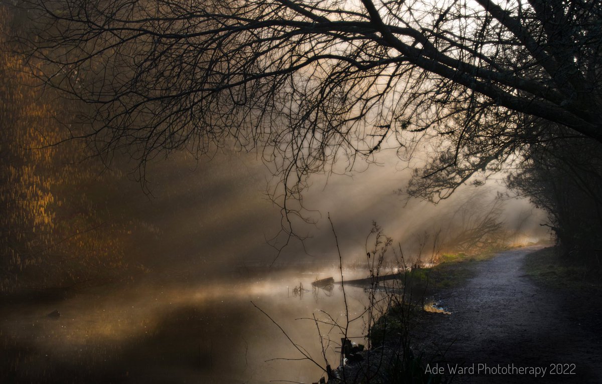 ade_photography's tweet photo. A Misty cold winters morning at Glamorganshire canal forest farm #photooftheday #Cardiff #landscapephotography #misty https://t.co/l5SEliK5uR