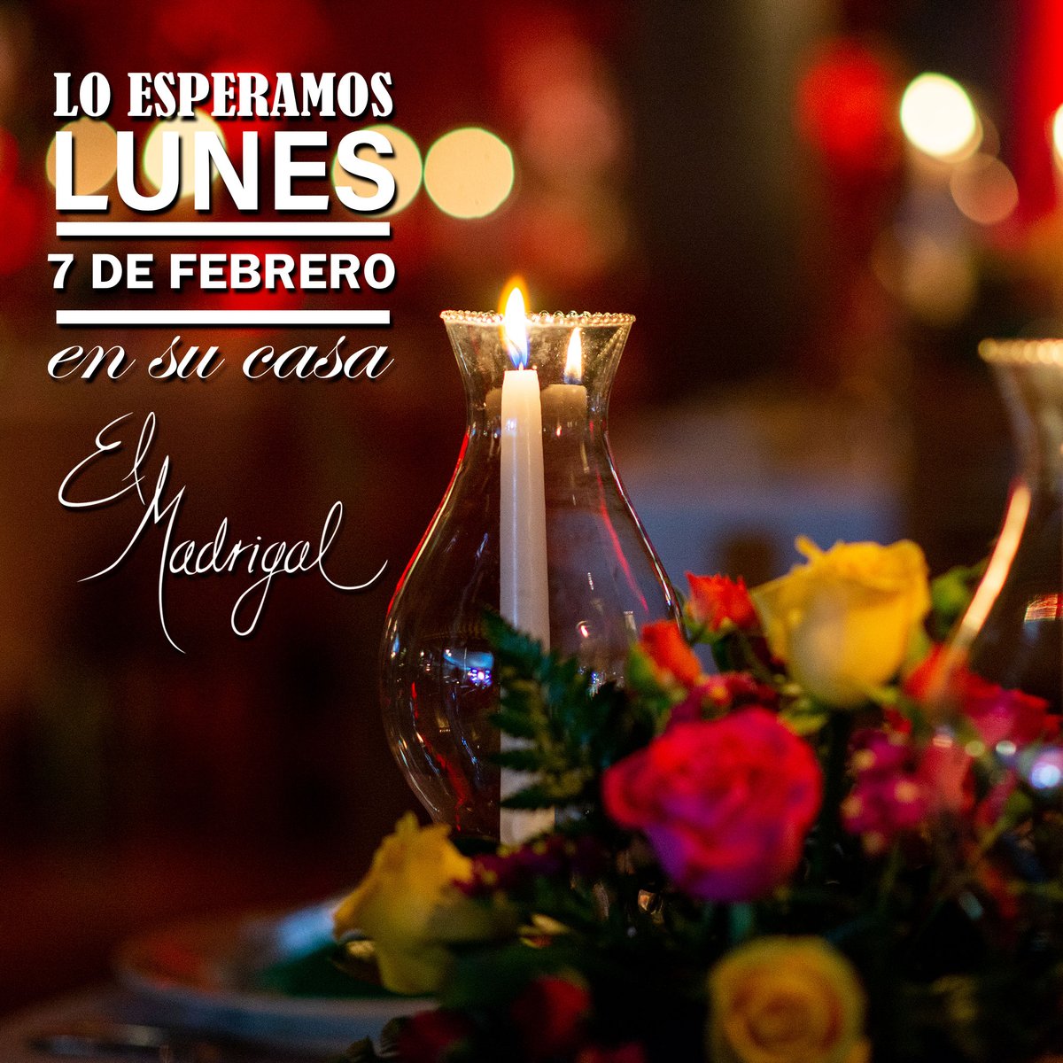elmadrigal_mx's tweet photo. A nuestra amable clientela le informamos el día Lunes 7 de febrero el restaurante permanecerá abierto.
Lo esperamos en su casa El Madrigal.
Reservaciones (777) 100 77 00
WhatsApp https://t.co/BaBjGeZa00
#ElMadrigal https://t.co/NcT1HvExVx