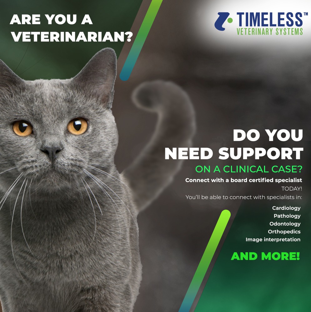 Timeless Veterinary tweet media