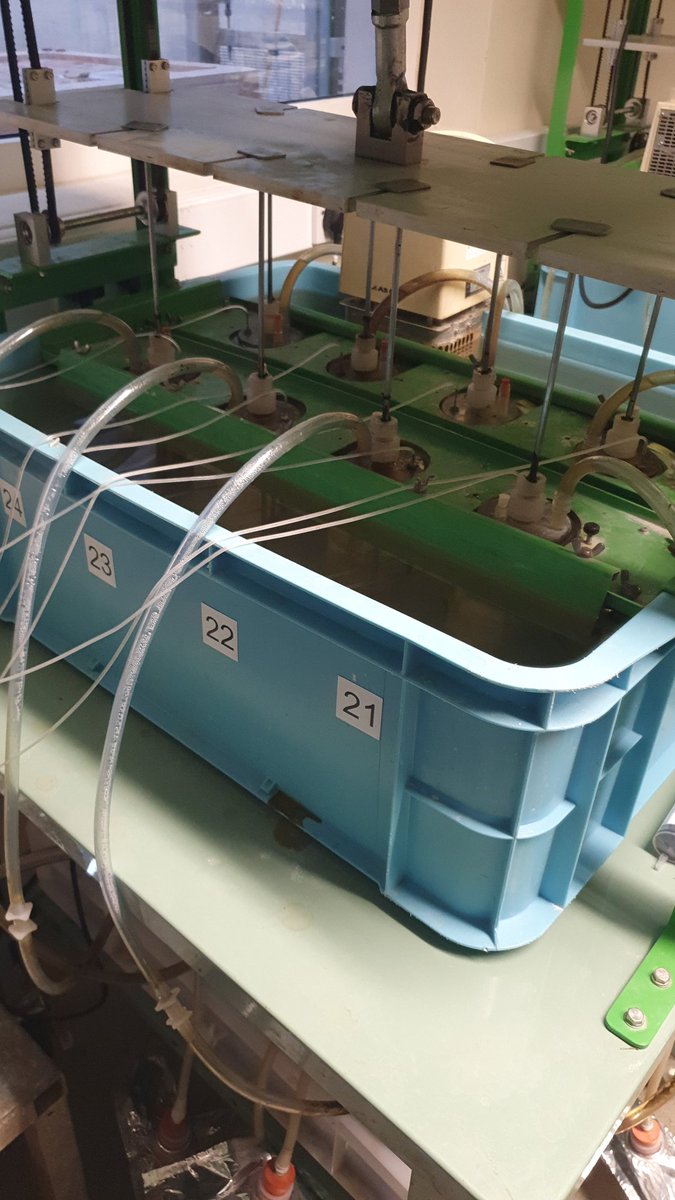 #RUSITEC experiment up and running <a href="/teagasc/">Teagasc</a> Grange investigating 🔎 the effects of seaweed extracts in reducing #methane from ruminants as part of the <a href="/FACCE_ERAGAS/">FACCE ERA-GAS</a> funded project <a href="/Seasolutions_/">SEASOLUTIONS</a>