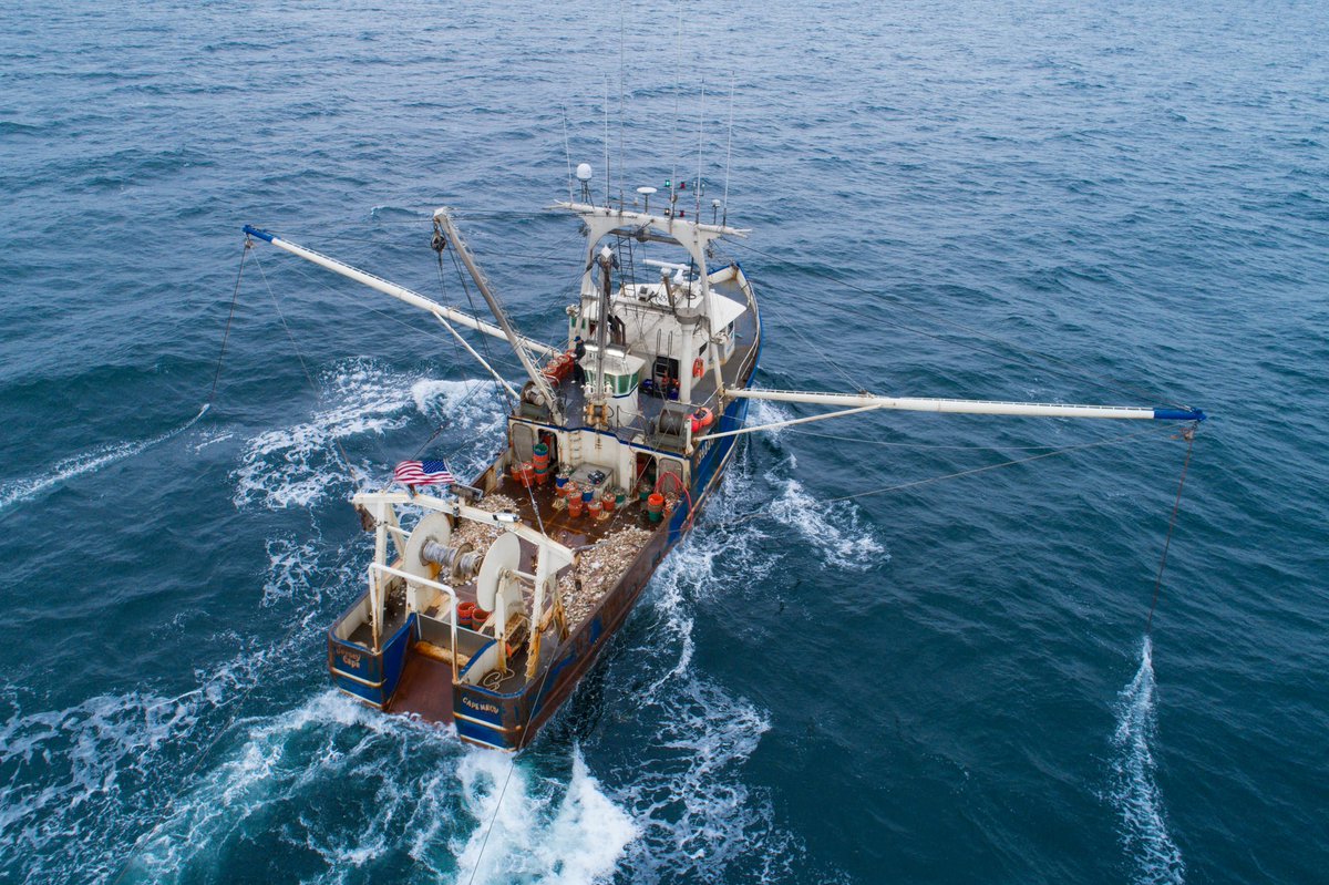 Today RODA filed a complaint in federal district court over unmitigated impacts to fish, envt &amp; economy in first commercial offshore wind decision. And omission of consideration of other, less impactful, climate strategies. Read more here: rodafisheries.org/roda-files-com…
