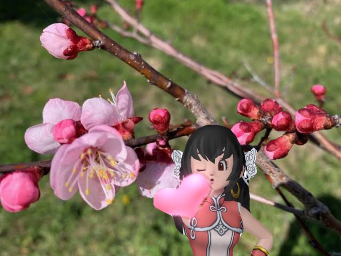 不屈の精神のtwitterイラスト検索結果 古い順