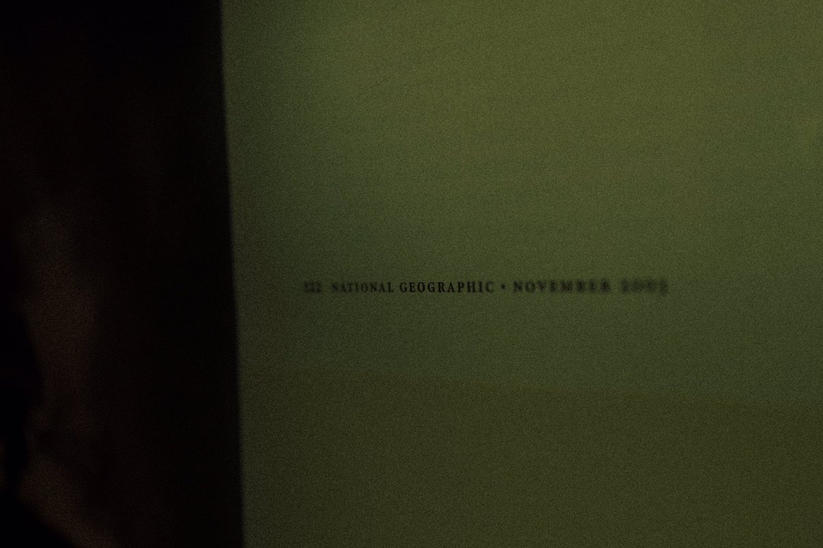 “objects in mirror are greener than they appear”
took these this morning at 6 a.m
should i make it a collection?🫑🪲🫒🍈🧪 #nfts #nftphotography #nftart