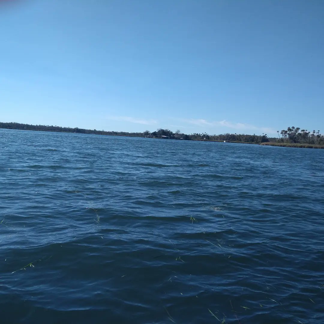 MrsBrookeGill's tweet photo. 5th grade Ridgebacks had a blast learning about their local community. Today we learned how we can help! We will be growing Eel Grass in our classroom to replant in the Crystal River! #savecrystalriver #ridgebackpride #citruscountyschools https://t.co/CUfqkci8xd