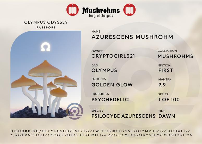 AlicePinky4's tweet photo. Go Mushrohms! https://t.co/3ZgVZvFkQX