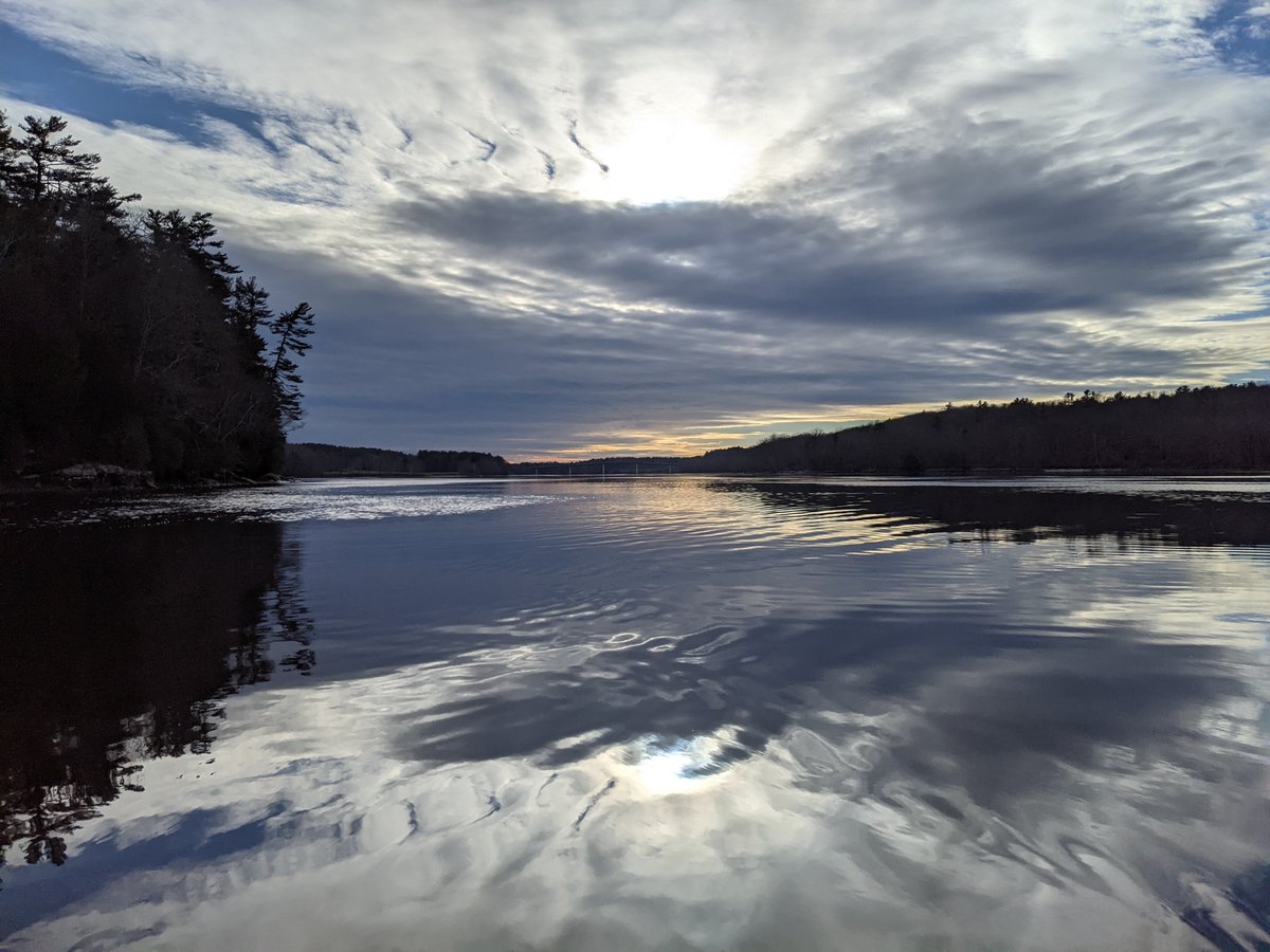 Scot McFarlane tweet media