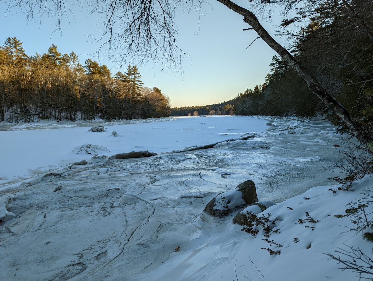 Scot McFarlane tweet media