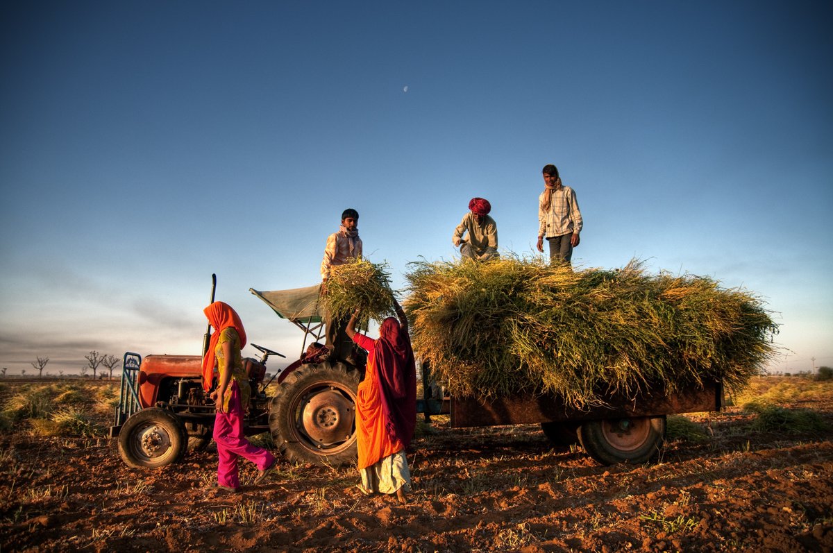 csrboxorg's tweet photo. Large 20 CSR Foundations in India, CSR Activities Fund-wise
CSRBOX brings you the top 20 CSR Foundations in India in the Financial Year 2020-21
Read more: https://t.co/BXpquOAlEL
#CSRFoundations #CSRspent https://t.co/r3sohjnThE