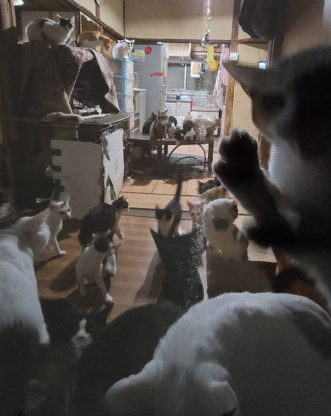 いながき動物病院 Inagakiah Twitter