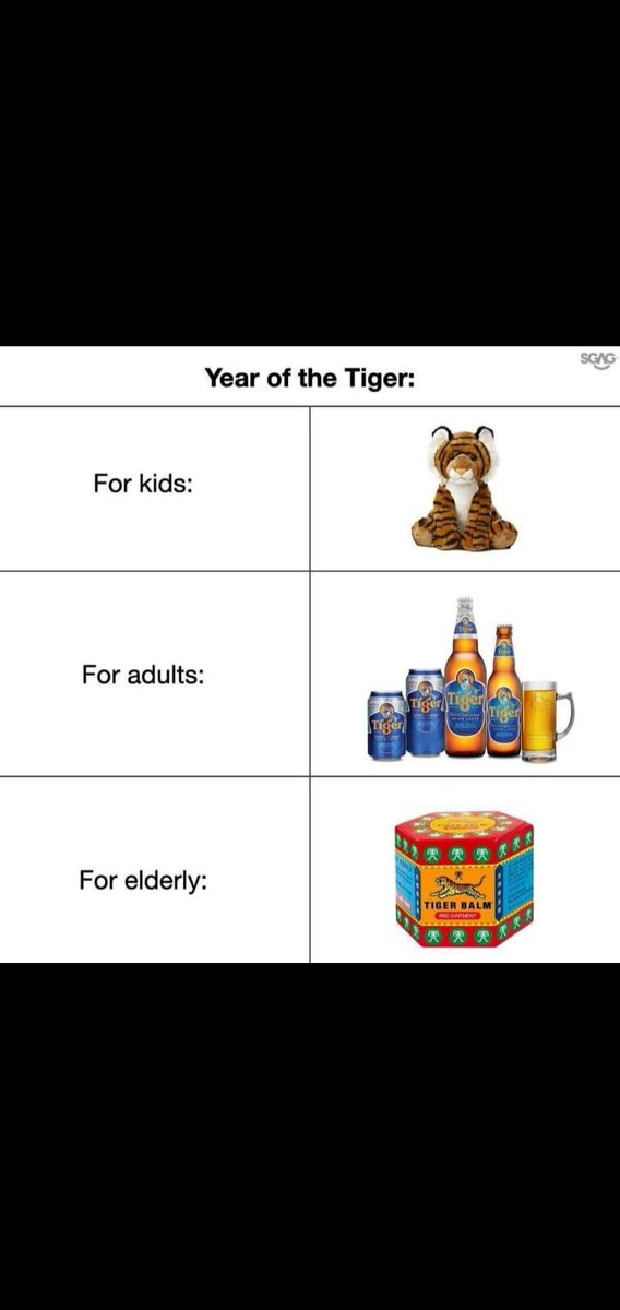 alexandraseno's tweet photo. One of the best #CNY2022 #Tiger memes I received this holiday season... Becoz #truth... Also, #AsianHumor https://t.co/HL1RvFSXkm