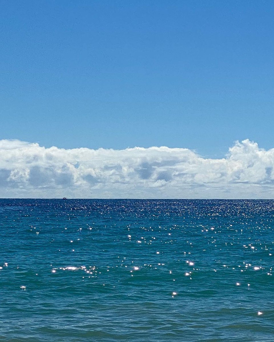 PORT8ART's tweet image. Welcome dear #February