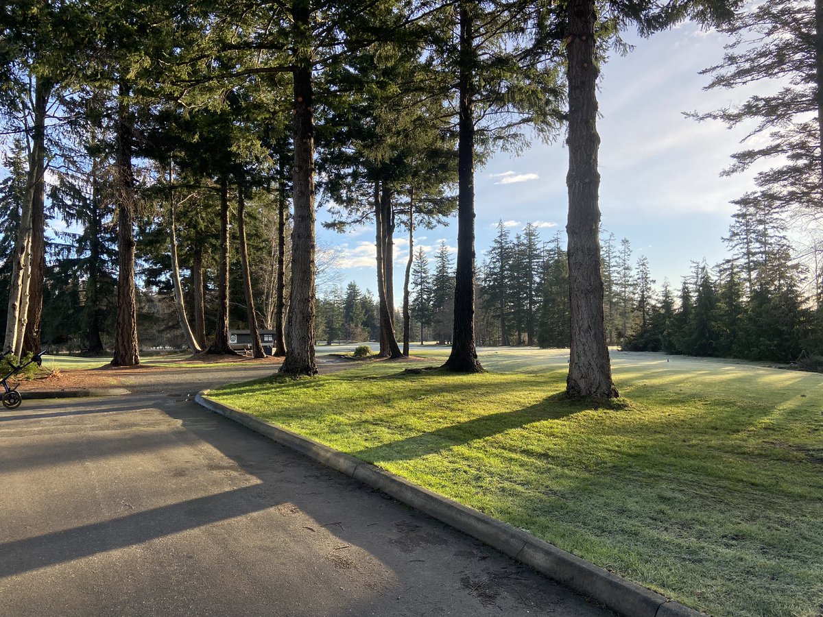 Formative prune to our featured trees surrounding the 1st tee <a href="/GolfGG/">Glacier Greens Golf Club</a>. Hello February on Vancouver Island.