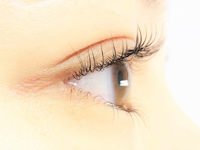 無料マツエクモデル募集 Iflビューティーカレッジ Iflschool Twitter