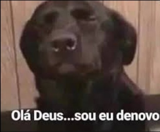 aDemon_leeh's tweet photo. O pedro scooby olhando pro céu e bem eu pedindo salvação pra deus akakak e bem aquele meme " olá deus.....sou eu de novo" https://t.co/KfEPi4AQSj