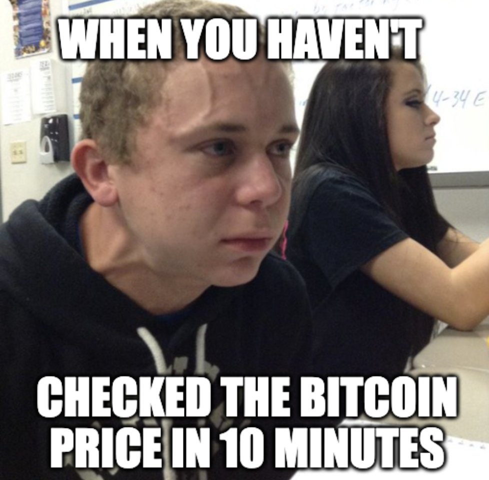 We just couldn't help it. 😂

#Bitcoin #CryptoMemes #KuCoin