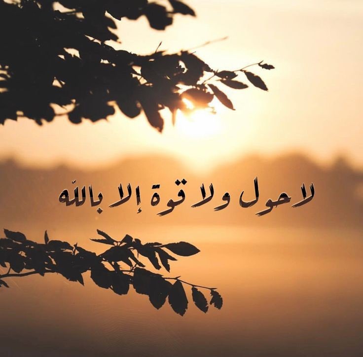 ام نصوري (@hh510n) on Twitter photo 