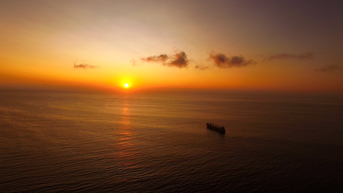 JotaContra tweet media