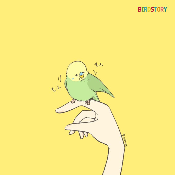 「セキセイインコさん」のTwitter画像/イラスト(新着))