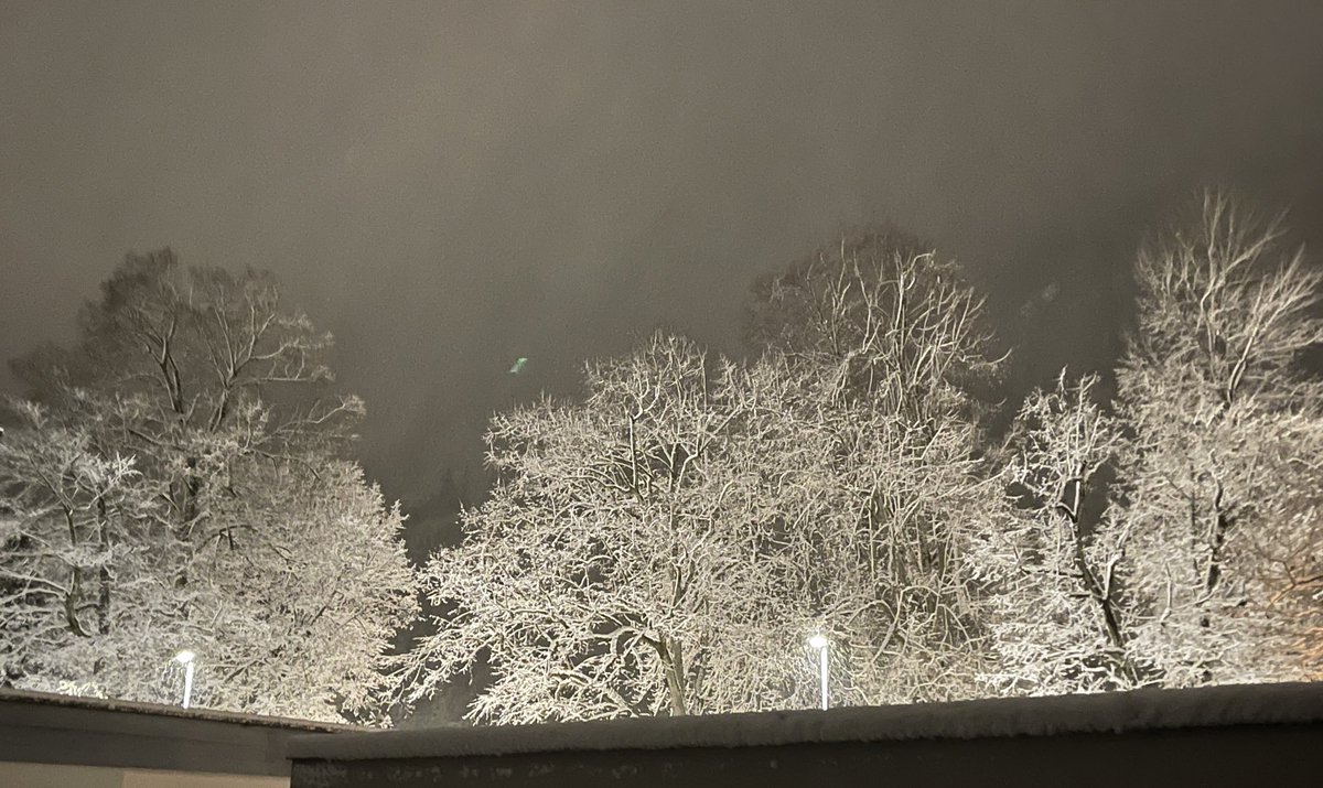 sabddc's tweet photo. Snow has the superpower to make everything from zero to hero! #snow #winter #interlaken https://t.co/wB5k1HDmC7