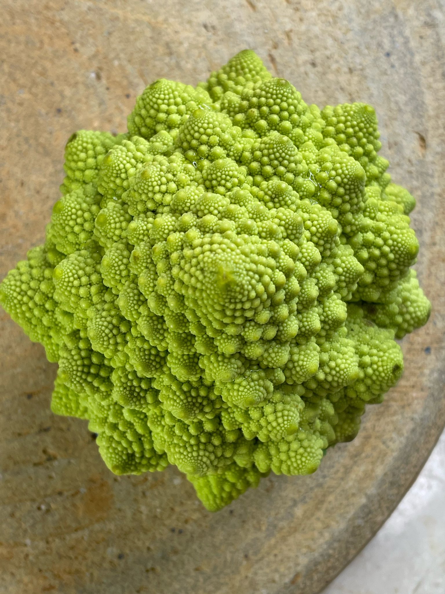 Ken 穀物菜食 地球と共に 自然栽培米飲む玄米 ロマネスコ収穫いたしました やはり植物に見られるフラクタルの代表選手は ロマネスコ ですよね 小さいロマネスコが規則的に集合し 一つのロマネスコが出来てます 分解したら幾つのロマネスコがあるのでしょう