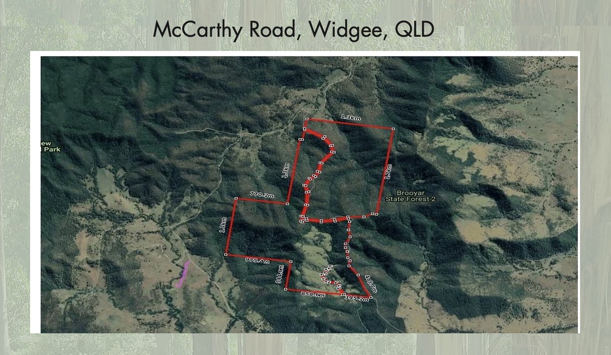 Koala_Territory's tweet photo. $849,000 for 237.6ha and 
$459,000 for 57.65ha. are still available!
This is a hot lot that will go fast as it is ~ 295 ha. of prime agric. land that is also koala habitat. Act now, and we can hope to buy this at-risk koala habitat in Widgee, QLD.
https://t.co/jVPl9KjRf4
🐨🌿💚 https://t.co/bHWfNa4KW9