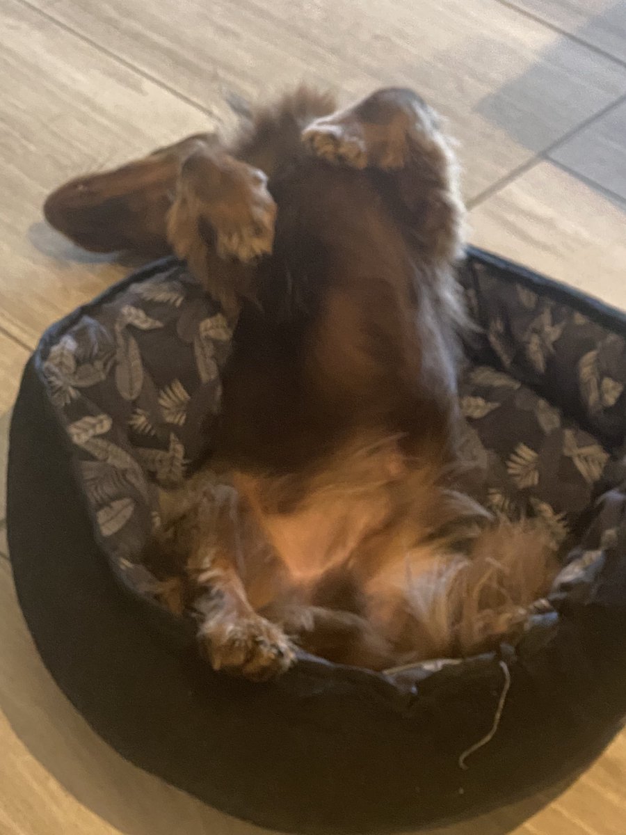 Crypto H tweet media