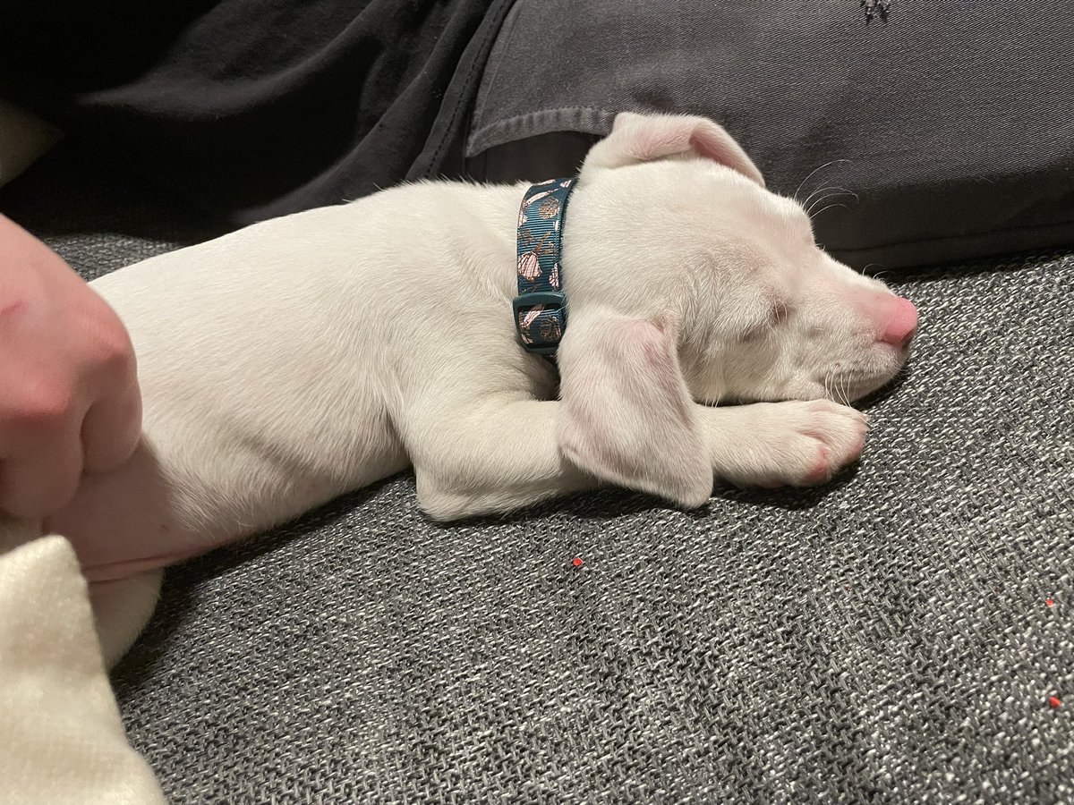 risswtf's tweet photo. she so big now wtf https://t.co/I1hAcedTmL