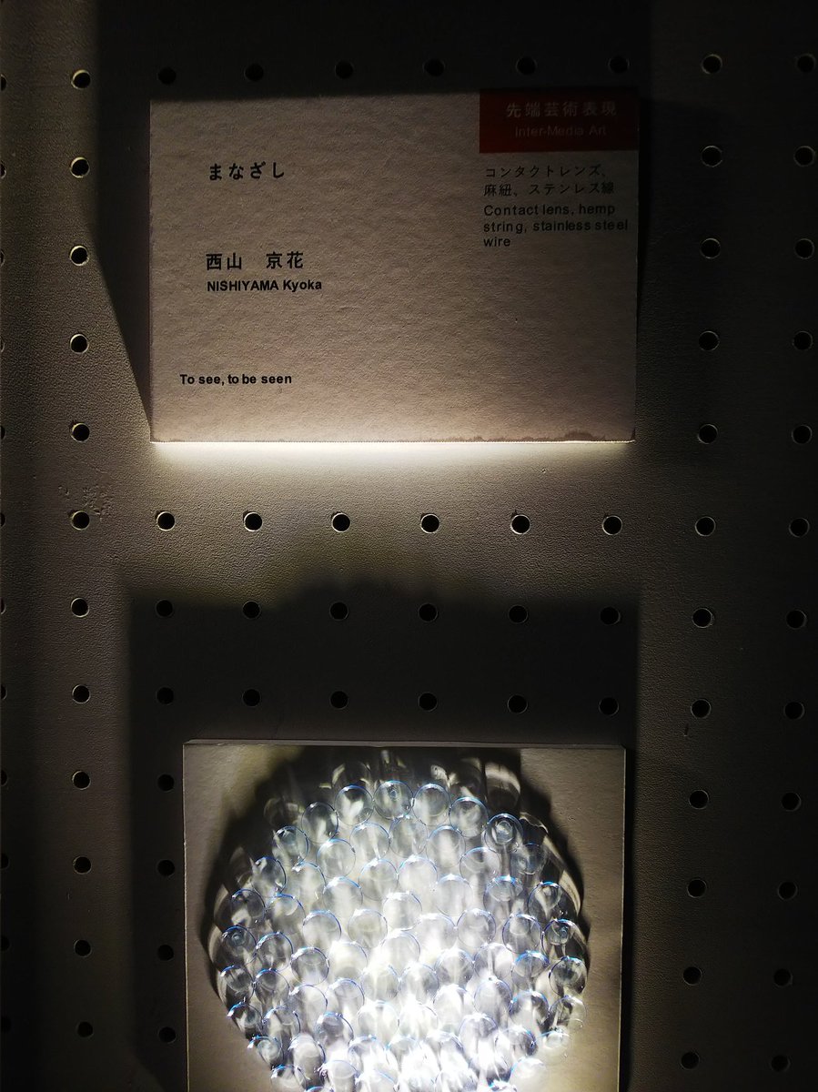 love_ewf's tweet photo. ＃藝大卒展２０２２
#藝大卒展 

ただ綺麗なだけではなく、コンタクトレンズを使った意味とか、とても深く面白かったです。美大生の心の成長、勉強熱心で頼もしいですね。 https://t.co/3mLOqLsofD
